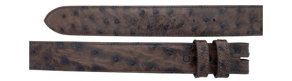 1 1/2" Straight Sienna Ostrich Belt $215 - Santa Fe Buckle Company